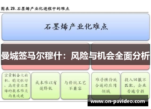 曼城签马尔穆什：风险与机会全面分析