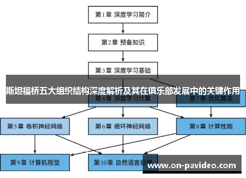 斯坦福桥五大组织结构深度解析及其在俱乐部发展中的关键作用