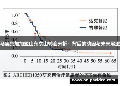 马德鲁加加盟山东泰山转会分析:背后的动因与未来展望 马德鲁加加盟山东泰山转会分析:背后的动因与未来展望