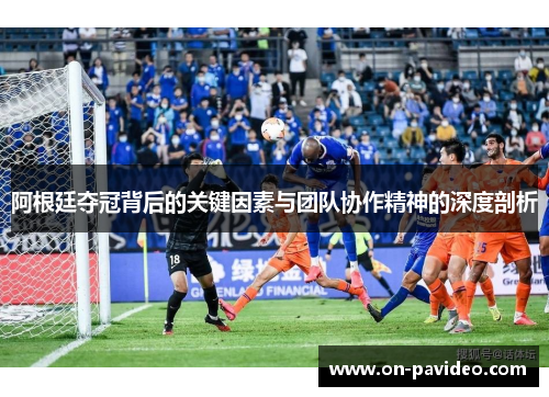 阿根廷夺冠背后的关键因素与团队协作精神的深度剖析