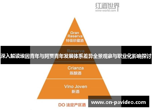 深入解读埃因青年与阿贾青年发展体系差异全景观察与职业化影响探讨 深入解读埃因青年与阿贾青年发展体系差异全景观察与职业化影响探讨